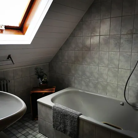 Apartment Haeberlehof Wolfach